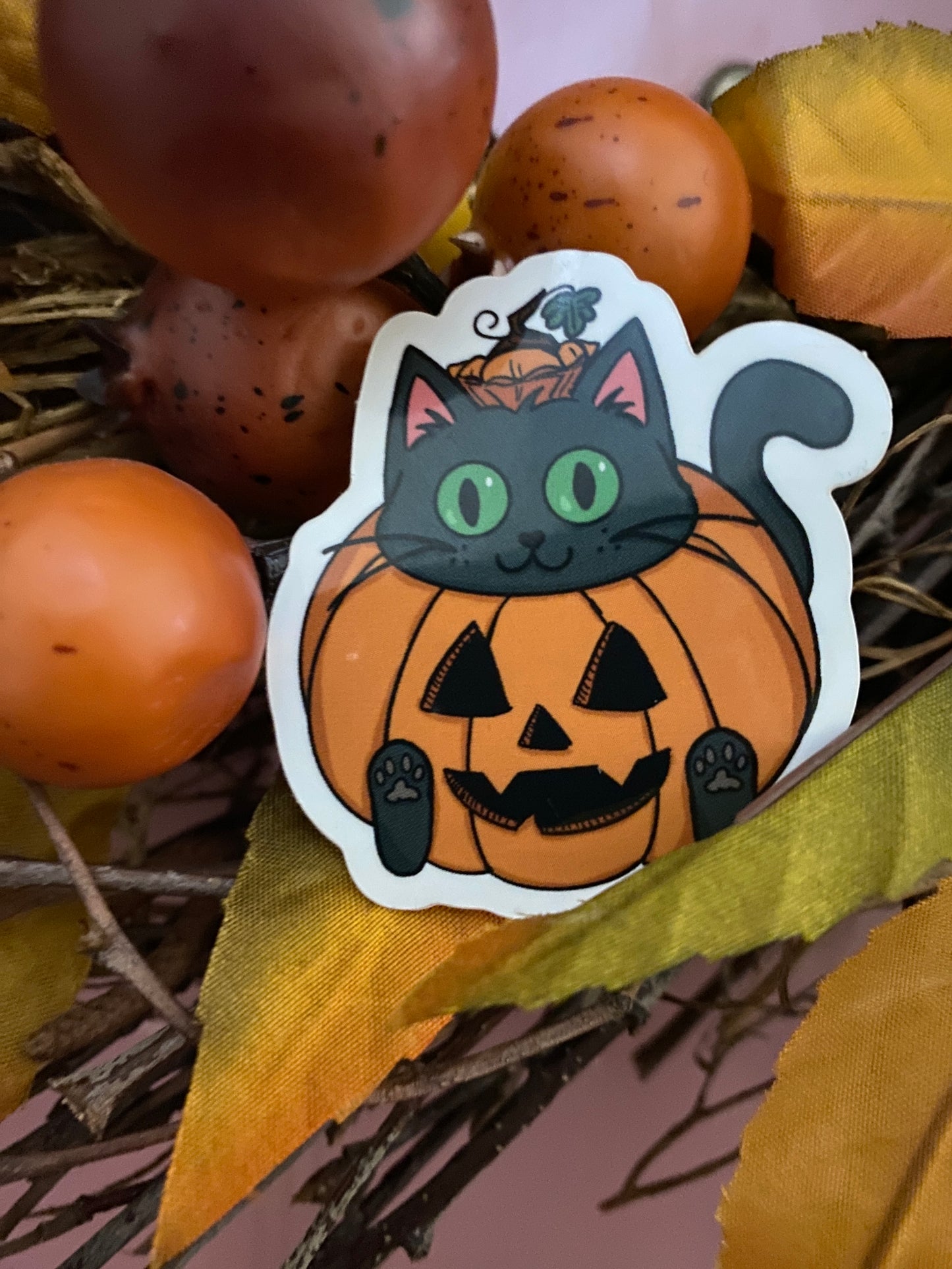 Jack-o-Kitty